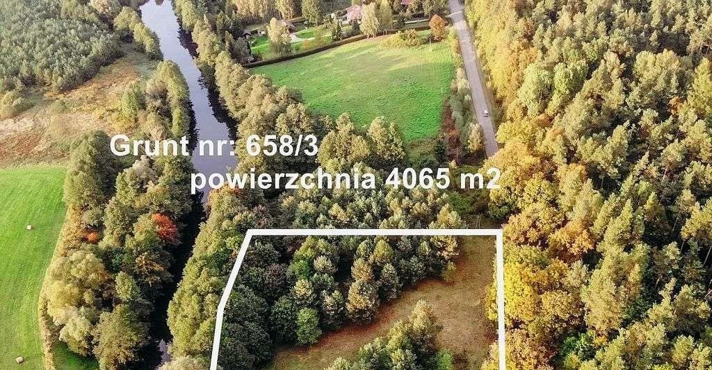 Działka inna na sprzedaż Miłomłyn  4 065m2 Foto 3