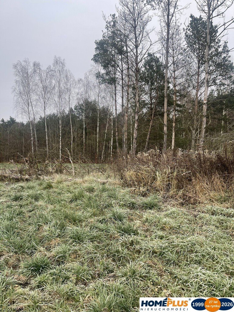 Działka 940 m² pod dom jednorodzinny, media, las Łąki  940m2 Foto 1