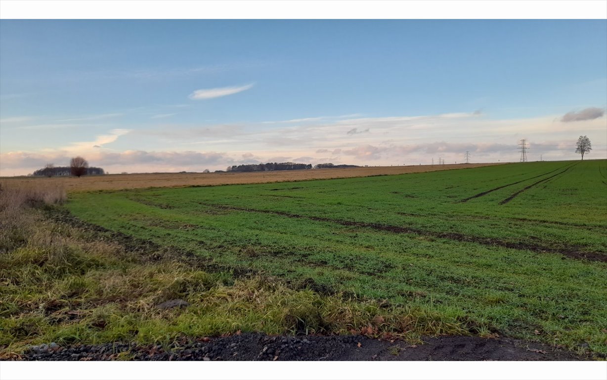 Działka budowlana na sprzedaż Krzeczyn Wielki, Krzeczyn Wielki  26 673m2 Foto 2