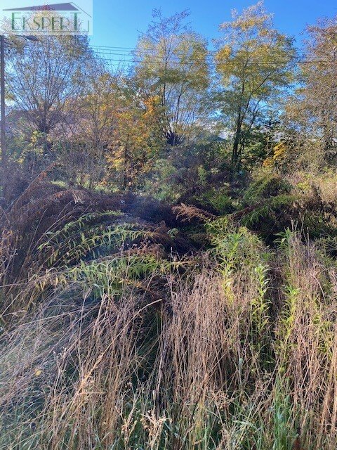 Widokowa działka pod zabudowę rezydencjalną 1,63 ha, 40 zł/m² Zawiercie, Skarżyce, EKSPERT   695 960 915  16 300m2 Foto 1