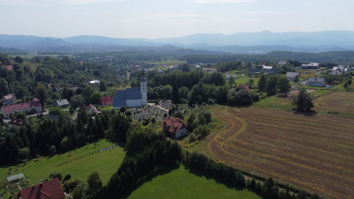 Działka budowlana na sprzedaż Dziwiszów  1 425m2 Foto 4