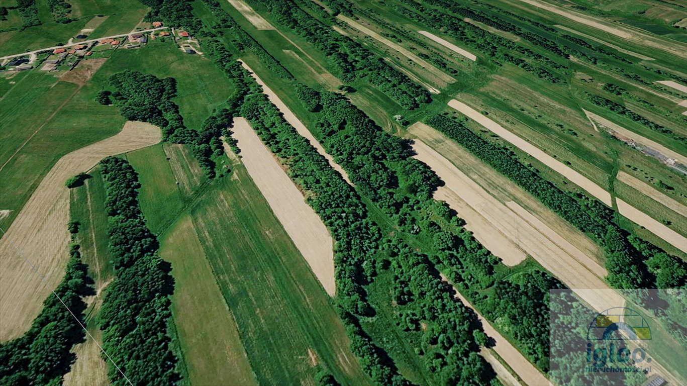 Działka inwestycyjna 25 000 m² pod hotel lub pensjonat Brzezinki  25 000m2 Foto 1