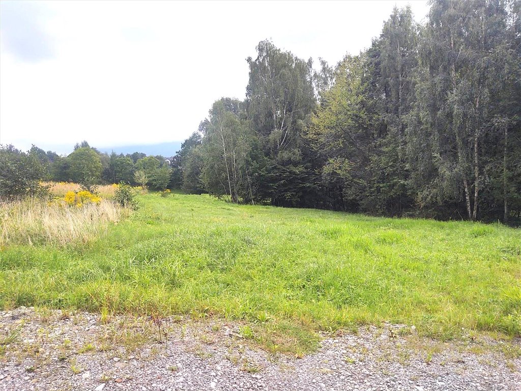 Działka budowlana na sprzedaż Bielsko-Biała, Lipnik  2 639m2 Foto 9