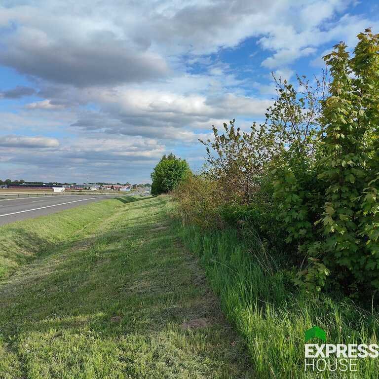 Działka inwestycyjna na sprzedaż Kruszów, Trybunalska  9 711m2 Foto 1