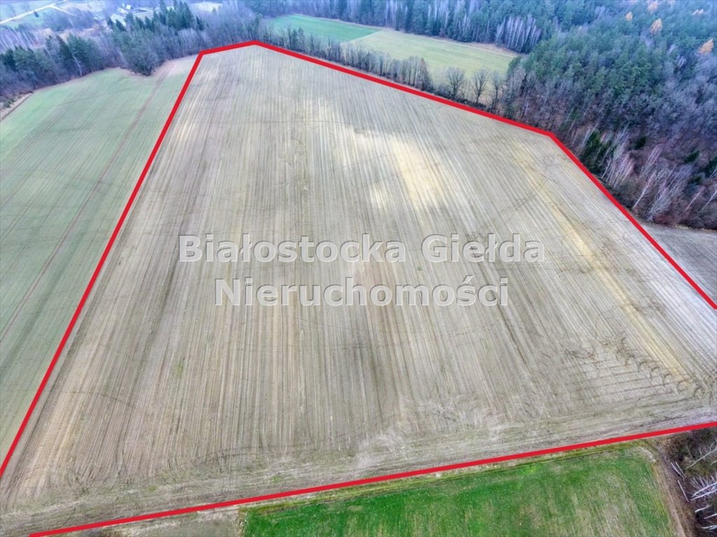 Do sprzedania 19 ha gruntów rolnych w trzech lokalizacjach Niemczyn  190 006m2 Foto 1