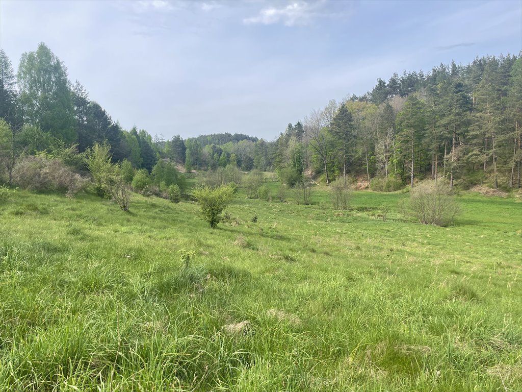 Działka budowlana na sprzedaż Koleczkowo, Bitwy Nad Ślężą  2 551m2 Foto 3