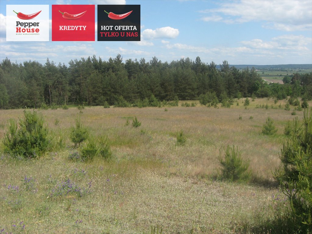 Działka gospodarstwo rolne na sprzedaż Zdrojewo  6 500m2 Foto 1