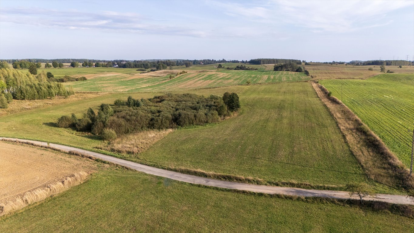 Działka rolna na sprzedaż Olszewki  13 200m2 Foto 11