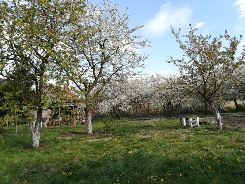 Działka budowlana na sprzedaż Wrocław, Fabryczna, Strachowice, Rdestowa  2 000m2 Foto 6