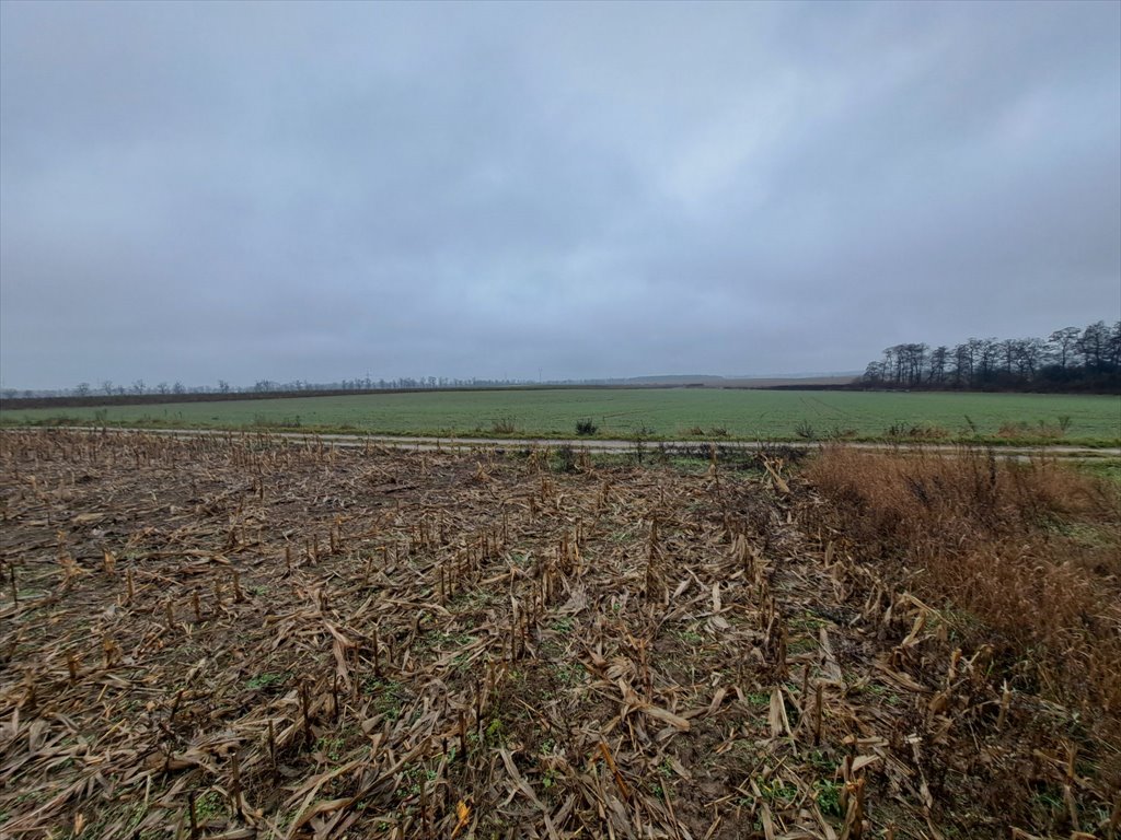 Na sprzedaż działka 3326 m² w Złotnikach z planem zagospodarowania Złotniki, Złotniki, J. Kochanowskiego  3 326m2 Foto 1