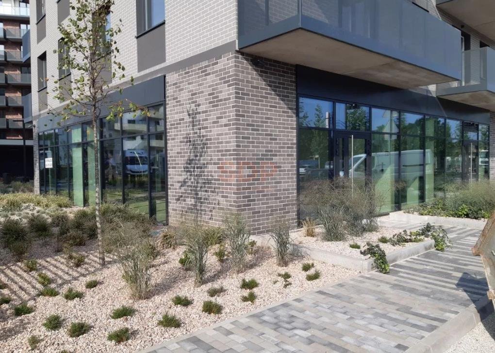 Lokal usługowo-biurowy 98,51 m2 z witrynami i ogródkami Wrocław, Fabryczna, Popowice, Białowieska  99m2 Foto 1