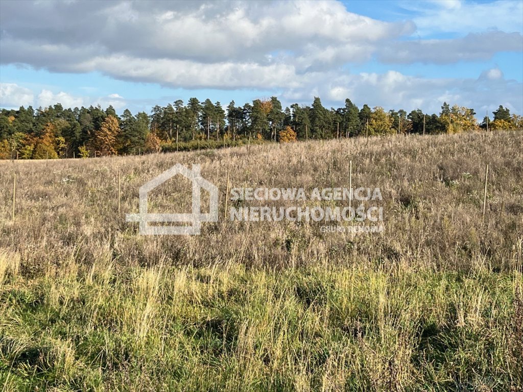 Działka budowlana na sprzedaż Somonino  1 100m2 Foto 5