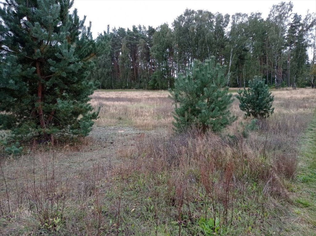 Działka budowlana na sprzedaż Koźle  6 320m2 Foto 12