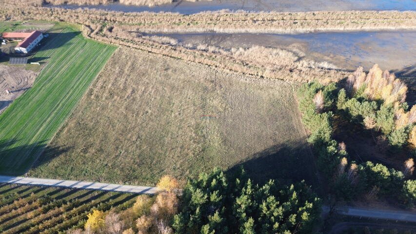 Działka rolna na sprzedaż Kolonia Jurki  14 677m2 Foto 5