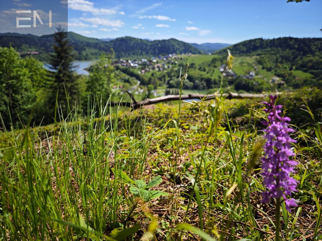 Działka budowlana na sprzedaż Wołkowyja  1 494m2 Foto 3