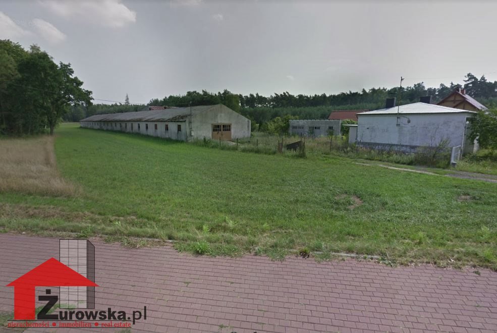 Hala 1600 m² + dom 250 m² na 3 ha, Strzelce Opolskie Szczepanek  1 000m2 Foto 1