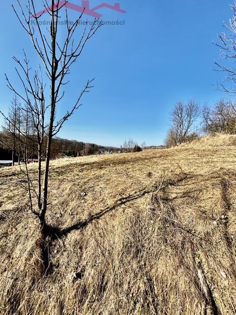 Urokliwa działka 39 ar w Izdebkach – blisko natury Izdebki  3 900m2 Foto 1