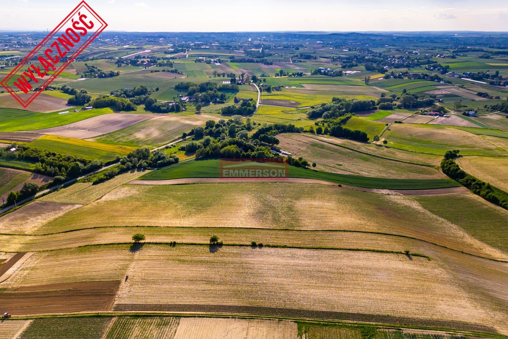 Działka rolna na sprzedaż Grębocin  40 000m2 Foto 4