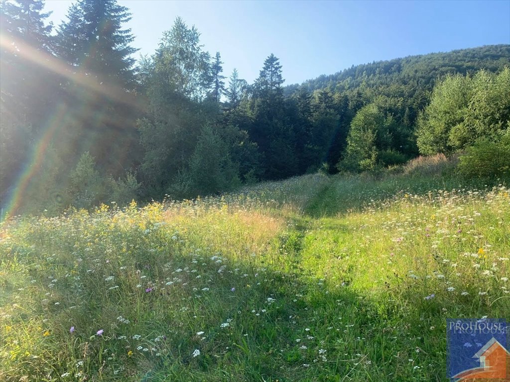 Działka leśna 7 600 m² w Pisarzowej z dojazdem utwardzonym Pisarzowa  7 600m2 Foto 1