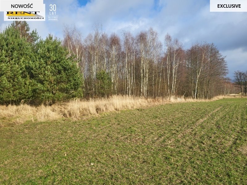 Pięć działek w Chłopowie – las, jeziora, turystyka! Chłopowo  950m2 Foto 1