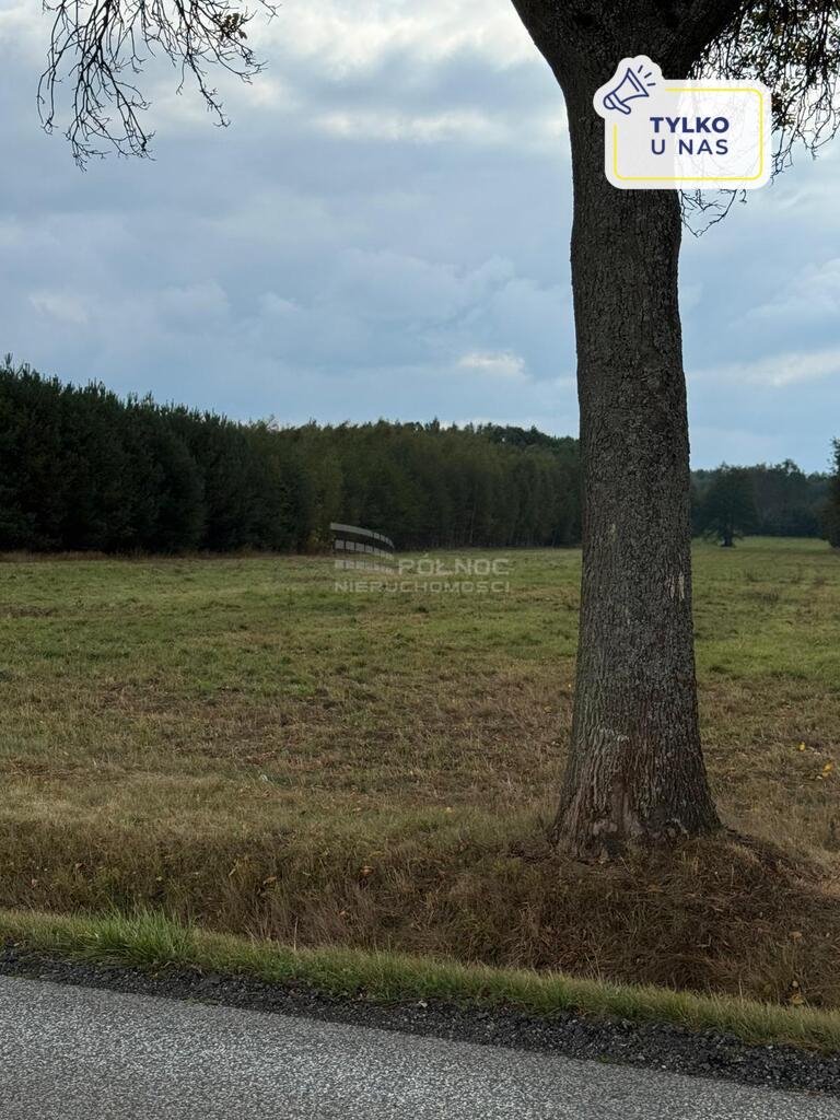 Działka budowlana na sprzedaż Bronów  8 600m2 Foto 1