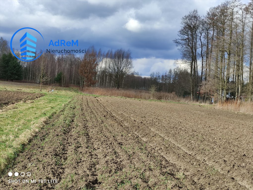 Działka budowlana na sprzedaż Robercin  6 134m2 Foto 9