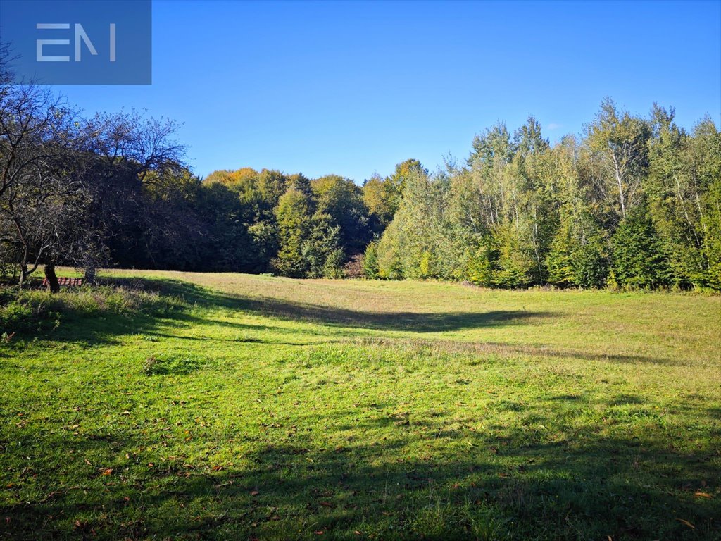 Działka rekreacyjna na sprzedaż Różanka  7 000m2 Foto 2