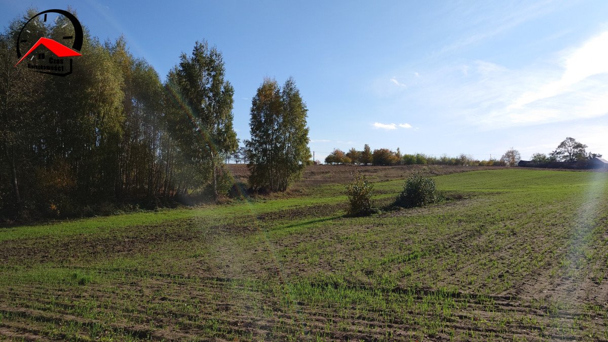 Działka gospodarstwo rolne na sprzedaż Topólka  1 500m2 Foto 3