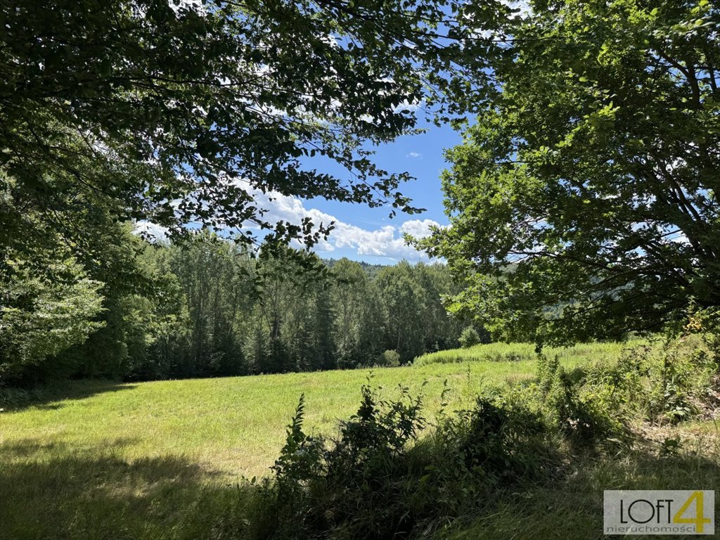 Polecam działkę 66 arów z widokiem na góry i las Paleśnica  6 600m2 Foto 1