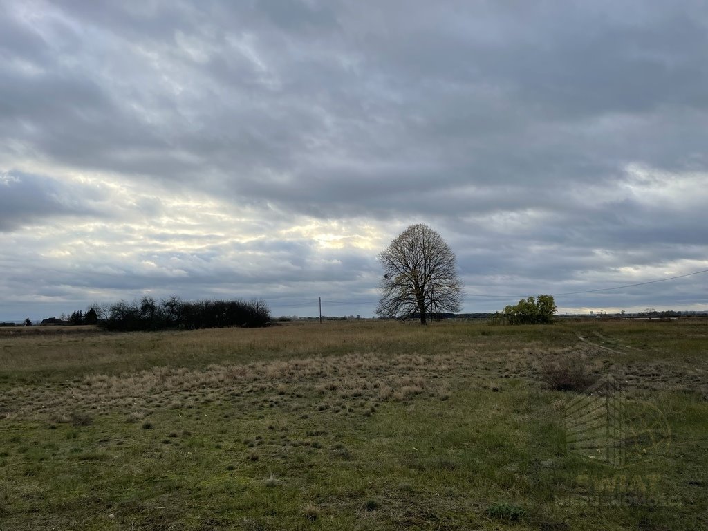 Działka siedliskowa na sprzedaż Lubczyna  23 200m2 Foto 3