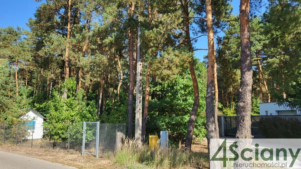 Działka leśna z prawem budowy na sprzedaż Truskaw  2 000m2 Foto 6