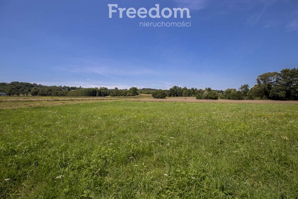 Działka rolna na sprzedaż Cieszyna  9 593m2 Foto 20