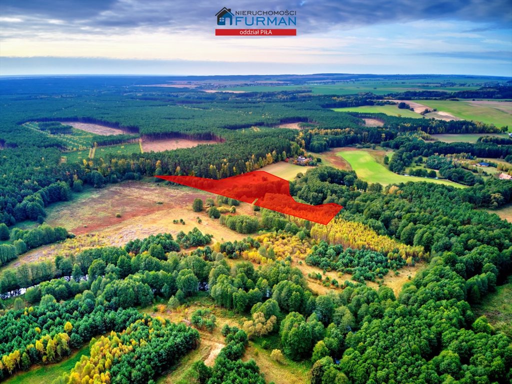 Działka 2,23ha z dostępem do rzeki i lasu, cisza! Zabrodzie  22 300m2 Foto 1