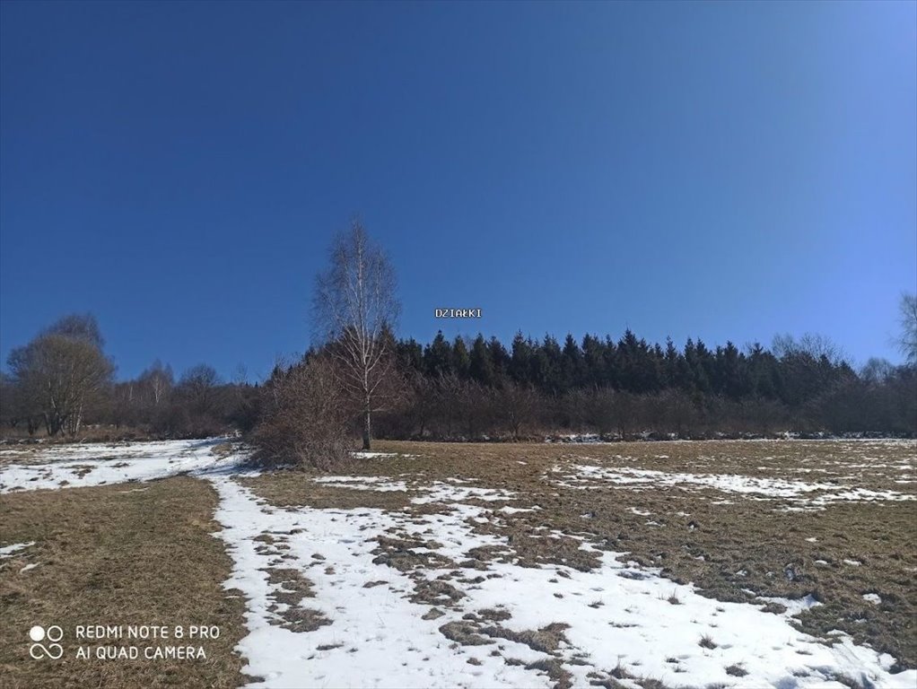 Polecam działkę rolno-leśną 4 536 m² z widokami w Ciscu Cisiec  4 536m2 Foto 1