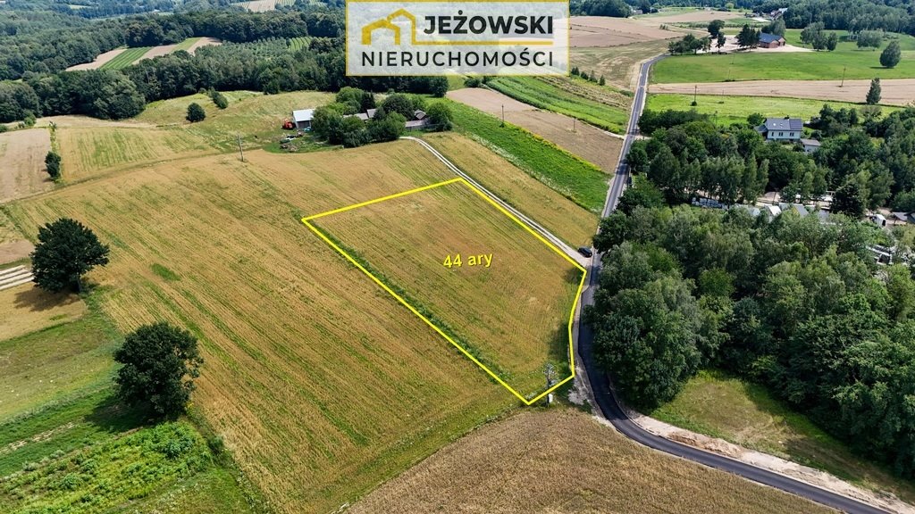 Działka rolna na sprzedaż Wierzchoniów  4 400m2 Foto 5