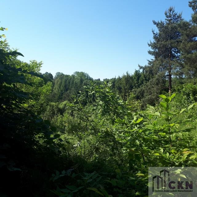 Działka budowlana na sprzedaż Gaj, Gaj 5 000m2 Foto 1 Działka budowlana na sprzedaż Gaj, Gaj 5 000m2 Foto 1