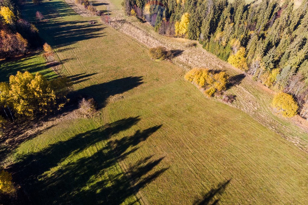 Działka rolna na sprzedaż Biały Dunajec  2 711m2 Foto 16