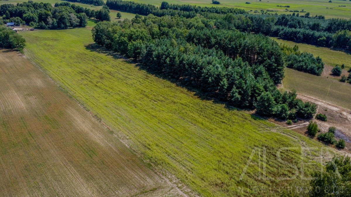 Działka budowlana na sprzedaż Marianowo  29 831m2 Foto 9