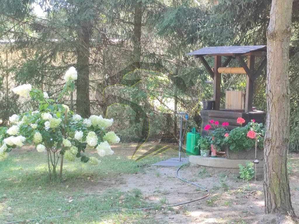 Działka budowlana na sprzedaż Księża Wólka  1 500m2 Foto 12