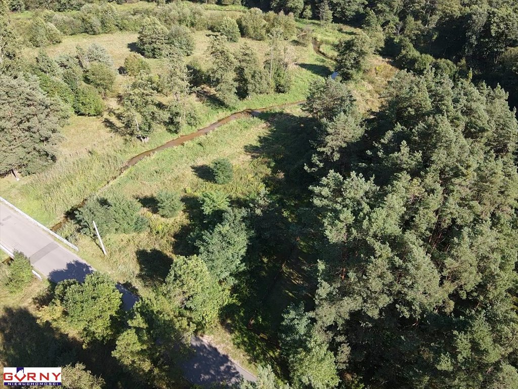 Działka inna na sprzedaż Kałek  5 000m2 Foto 4