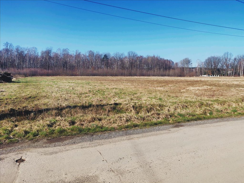 Działka budowlana na sprzedaż Grodzisk Mazowiecki  1 875m2 Foto 7