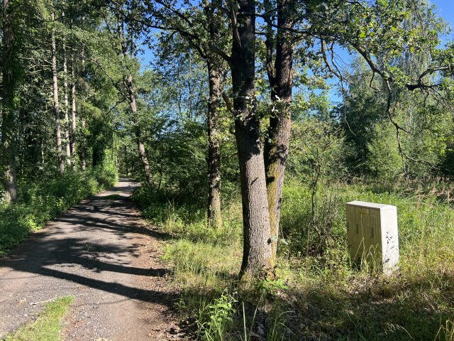 Działki budowlane 750 m² w Dębskiej Kuźni (las, MPZP) Dębska Kuźnia, Kolonia  750m2 Foto 1