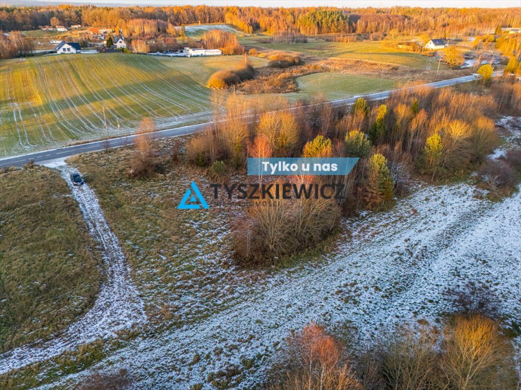 Działka 11 237 m² z możliwością podziału i zabudowy Nowa Wieś Przywidzka  11 237m2 Foto 1