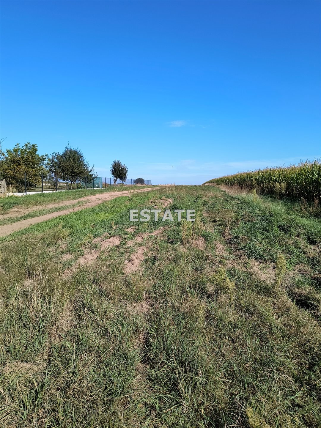 Działka 1460 m² z warunkami zabudowy, prąd i woda polecam Brzeg  1 460m2 Foto 1
