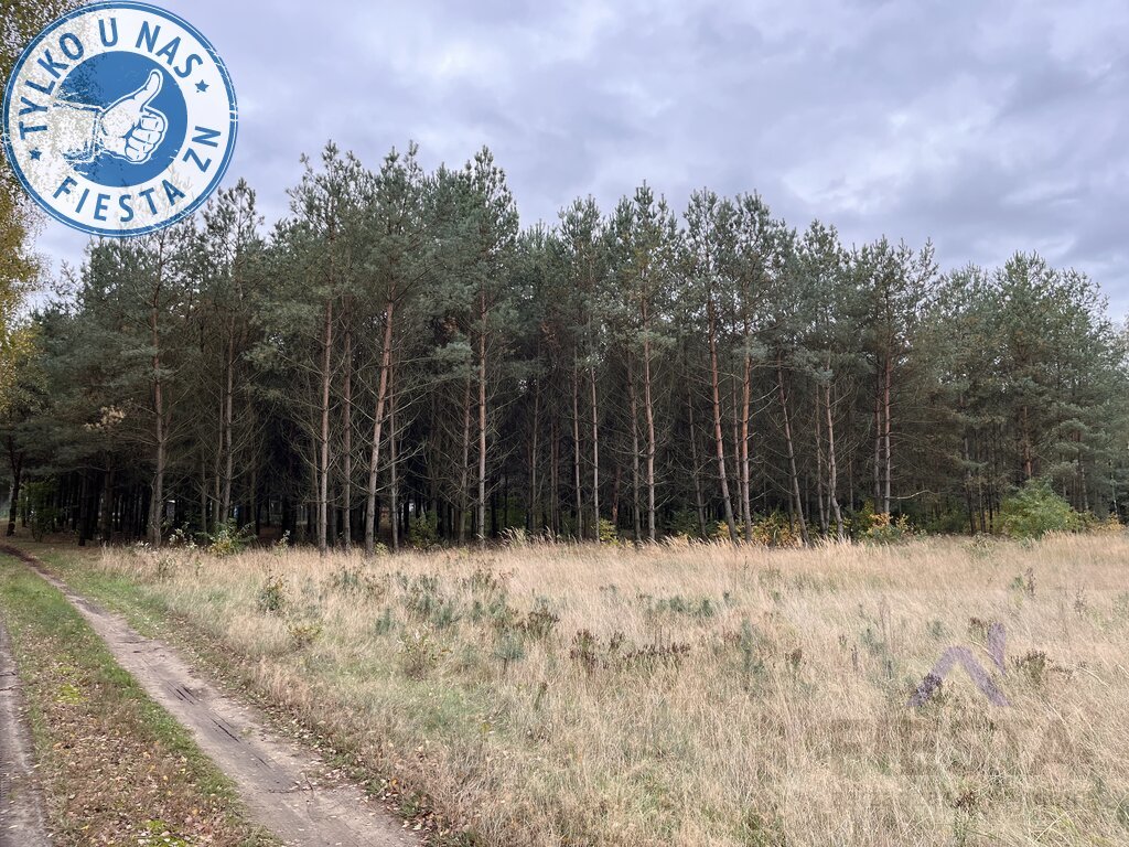 Działka rolna na sprzedaż Sosnowo  2 500m2 Foto 1
