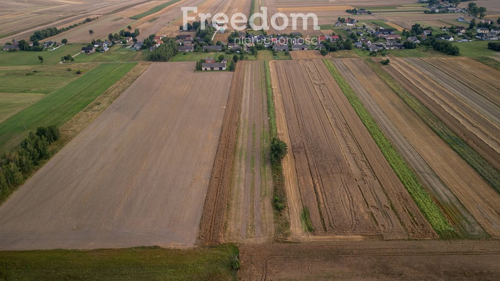 Działka inna na sprzedaż Zapolice  11 077m2 Foto 6