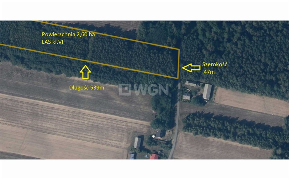 Działka leśna 2,6 ha sosna i brzoza - polecam Borki, 19/2  26 000m2 Foto 1