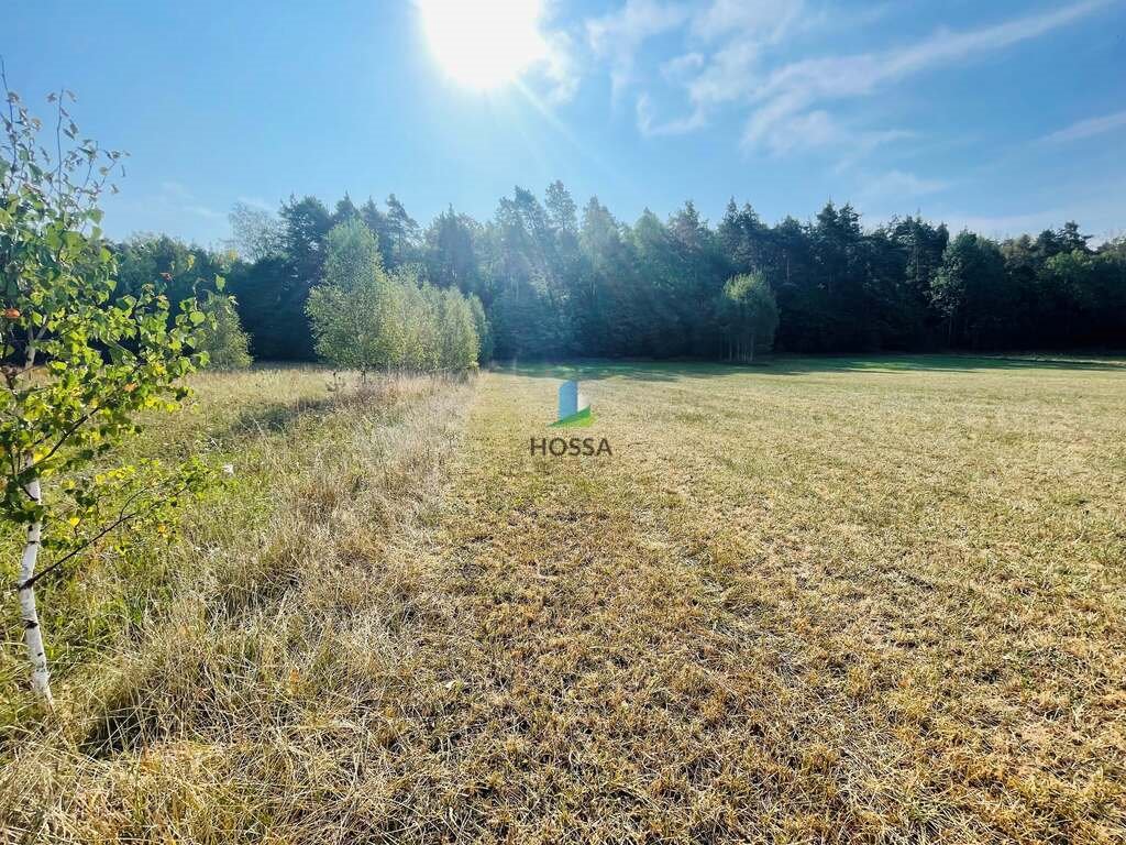 Działka budowlana na sprzedaż Szymany  5 720m2 Foto 8