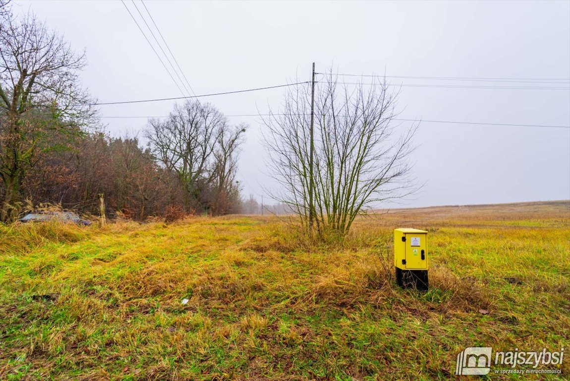 Działka inna na sprzedaż Nowogard, obrzeża  8 137m2 Foto 14