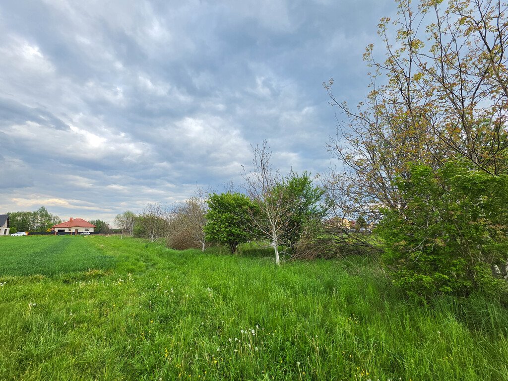 Działka 13 ar pod dom w spokojnej okolicy Głuchowa Głuchów  4 848m2 Foto 1